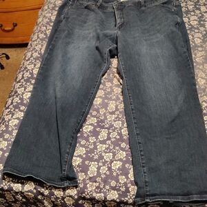 Lane Bryant Dark Blue Flare Jeans